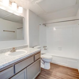 Model Unit Bathroom